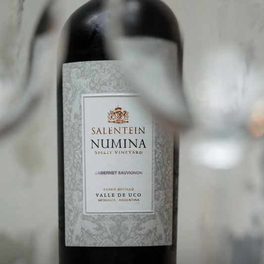 Salentein Numina Cabernet Sauvignon