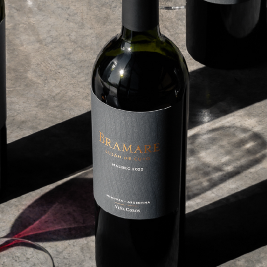 Bramare Luján de Cuyo Malbec