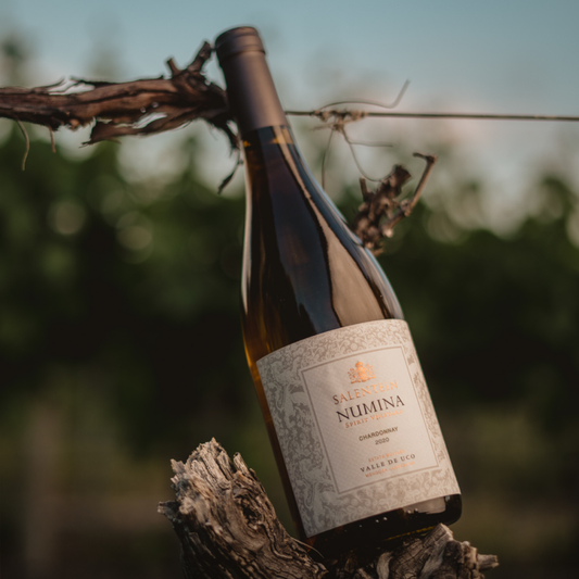 Salentein Numina Chardonnay