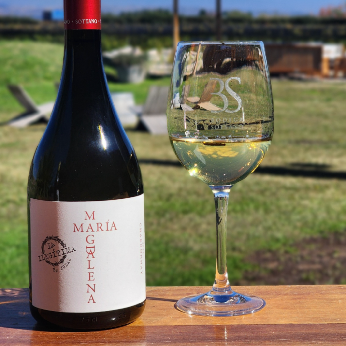 Sottano María Magdalena Chardonnay