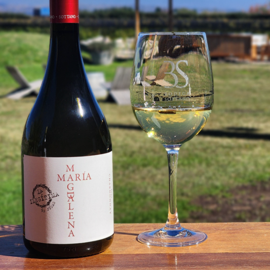 Sottano María Magdalena Chardonnay