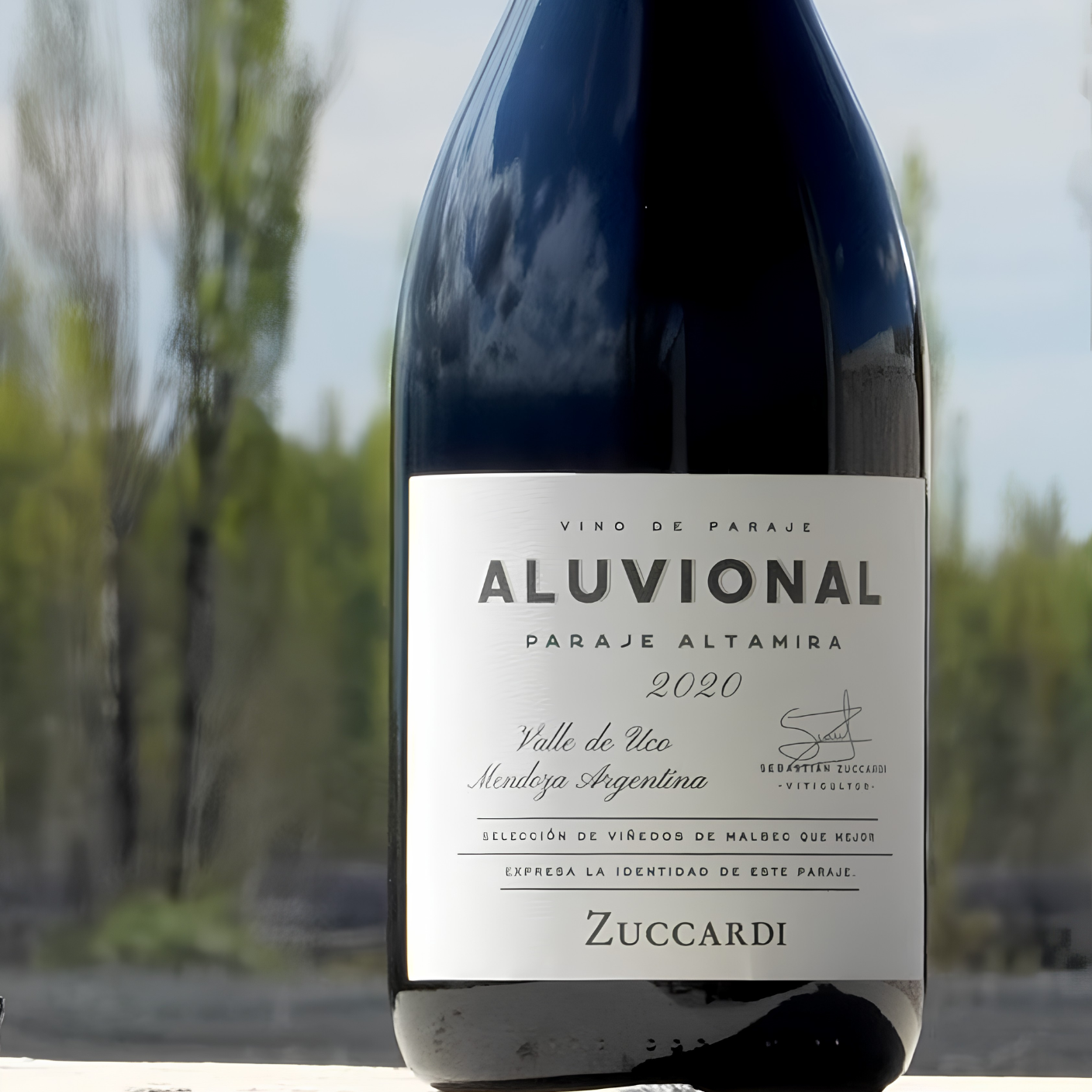 Zuccardi Aluvional Paraje Altamira Malbec