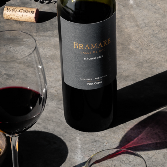Bramare Valle de Uco Malbec
