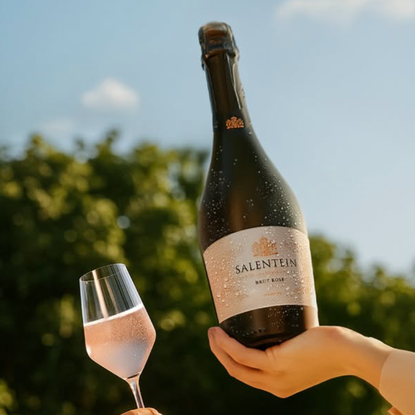 Salentein Brut Rosé