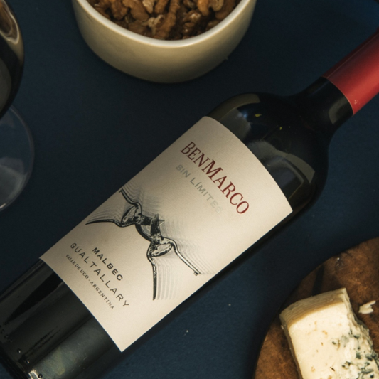 Susana Balbo Benmarco Sin Límites Malbec Gualtallary