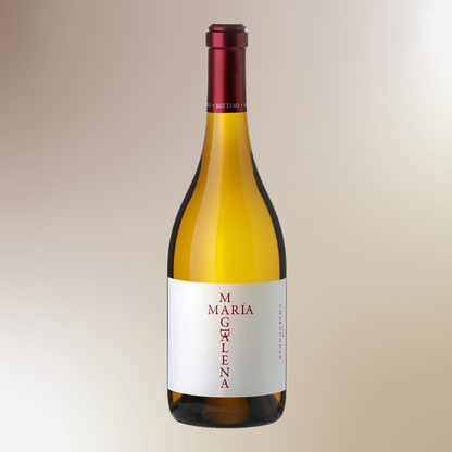 Sottano María Magdalena Chardonnay