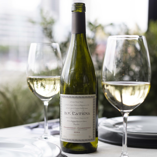 DV Catena Chardonnay-Chardonnay