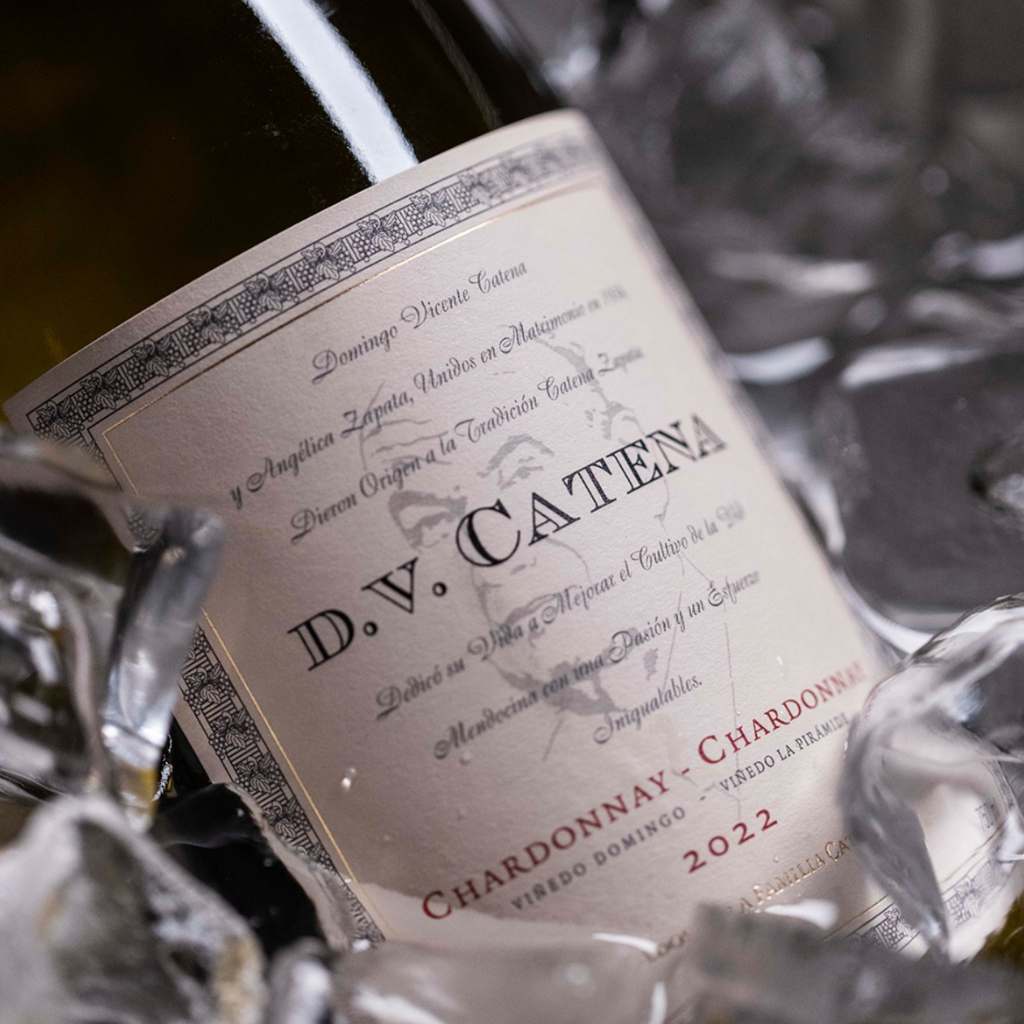 DV Catena Chardonnay-Chardonnay