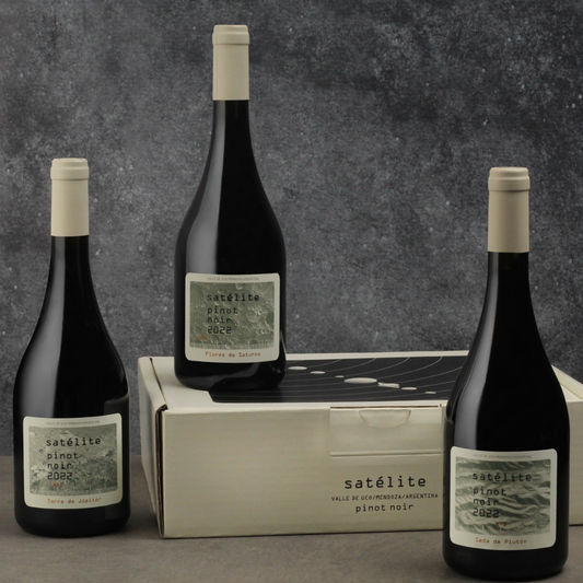 Familia Millán Satélite Torres de Júpiter Pinot Noir