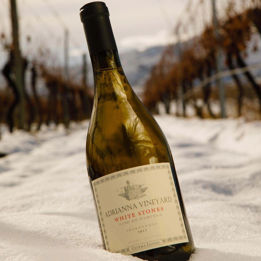 Catena Zapata Adrianna White Stones Chardonnay