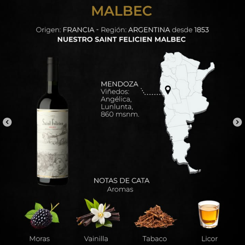 Saint Felicien Malbec