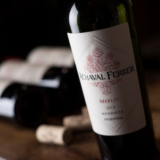 Achaval Ferrer Mendoza Merlot